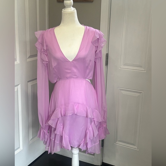 Angelance New York Silk Chiffon Dress - Picture 5 of 14